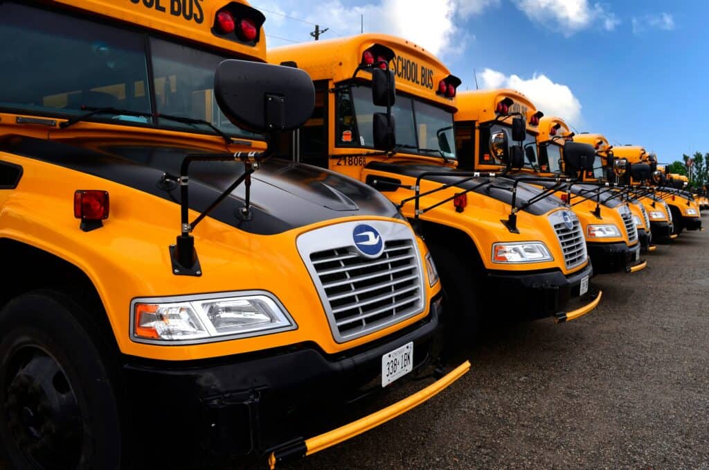 fleet of yellow school buses