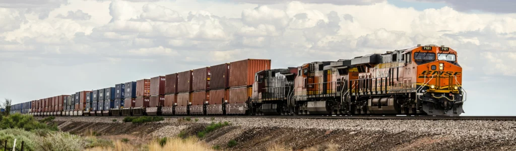 se permiten perros de terapia en los trenes de amtrak