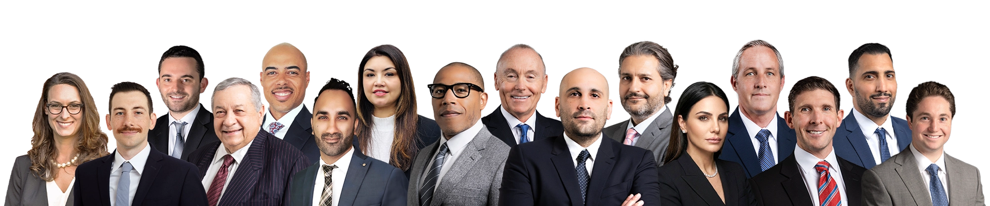 The AA Law Attorneys Team