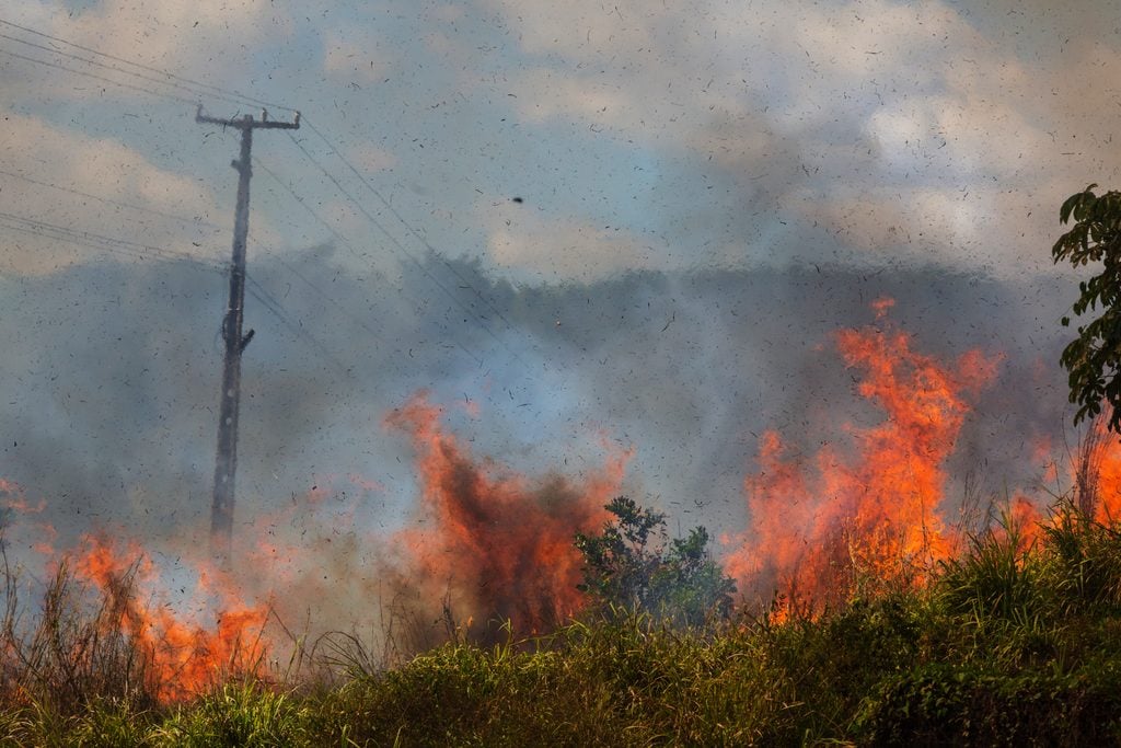 A power pole surrounded by burning vegetation, illustrating the Eaton Fire 